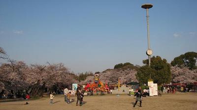 20%公園全景.JPG