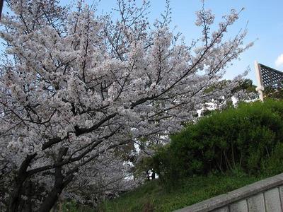 20%IMG_4846.JPG