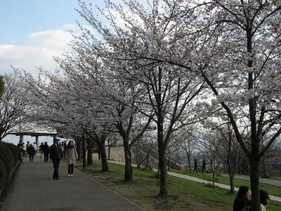 20%IMG_4856.JPG