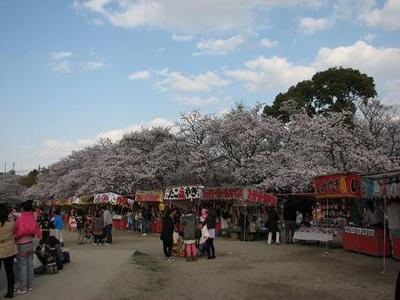 20%IMG_4874.JPG