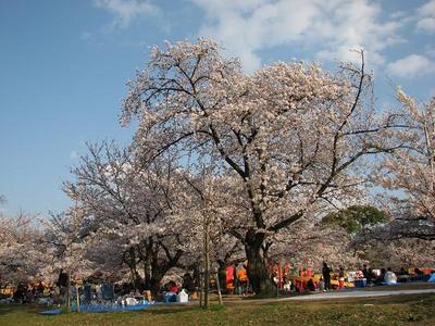 20%IMG_4911.JPG