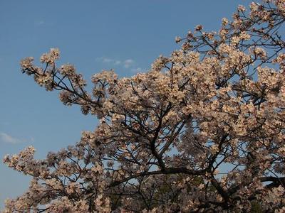 20%IMG_4943.JPG