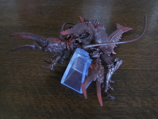 エビラ2004.JPG